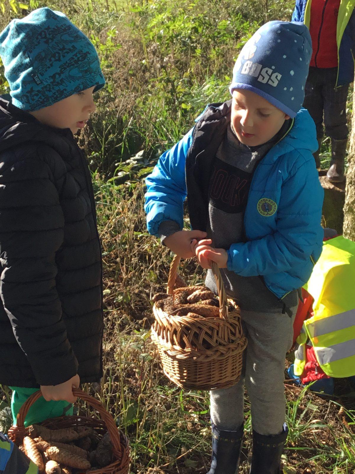 "Kam chodí broučci spát" - 6