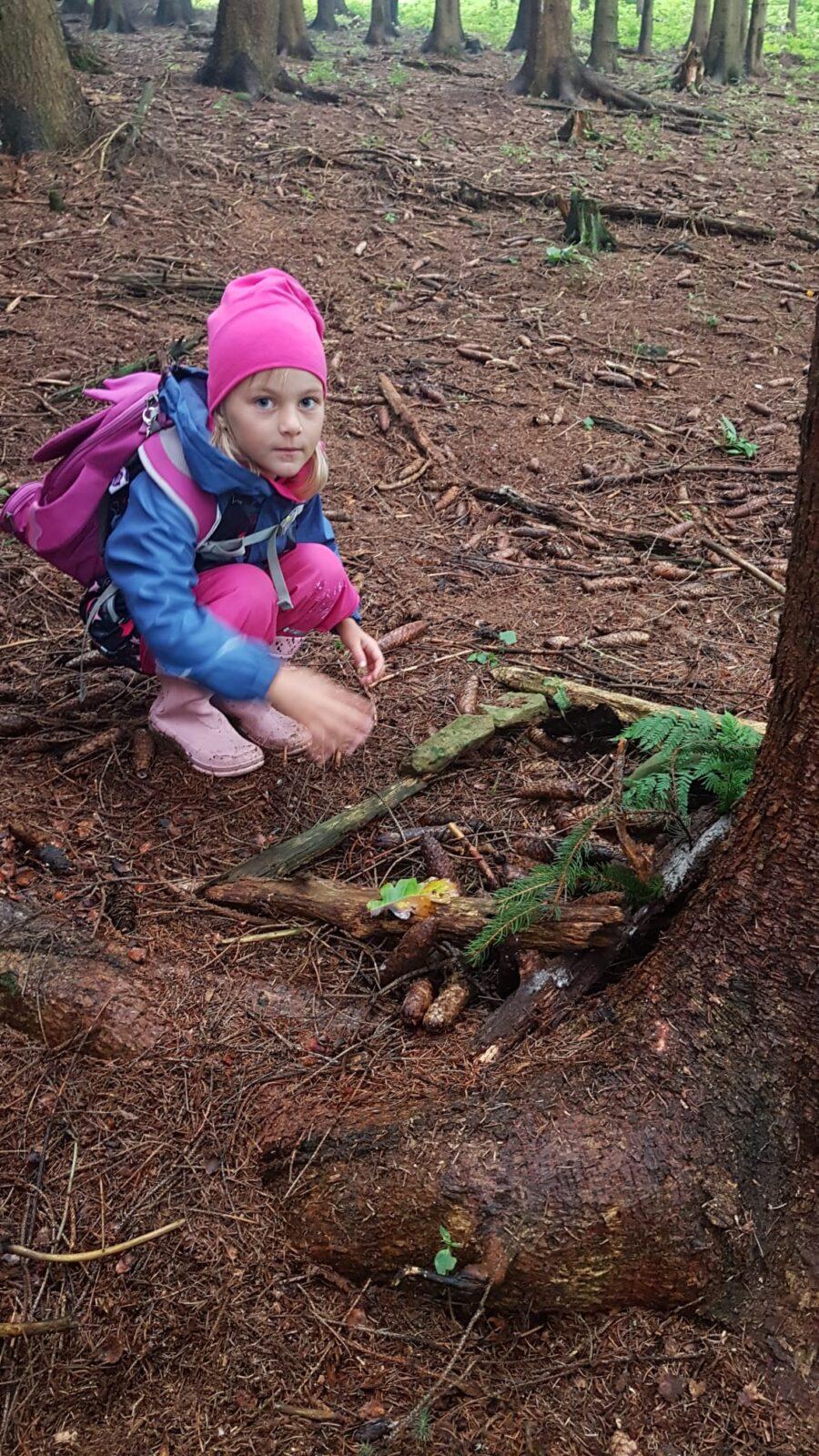 SOVIČKY: ,,VÝPRAVA DO LESA" - 6