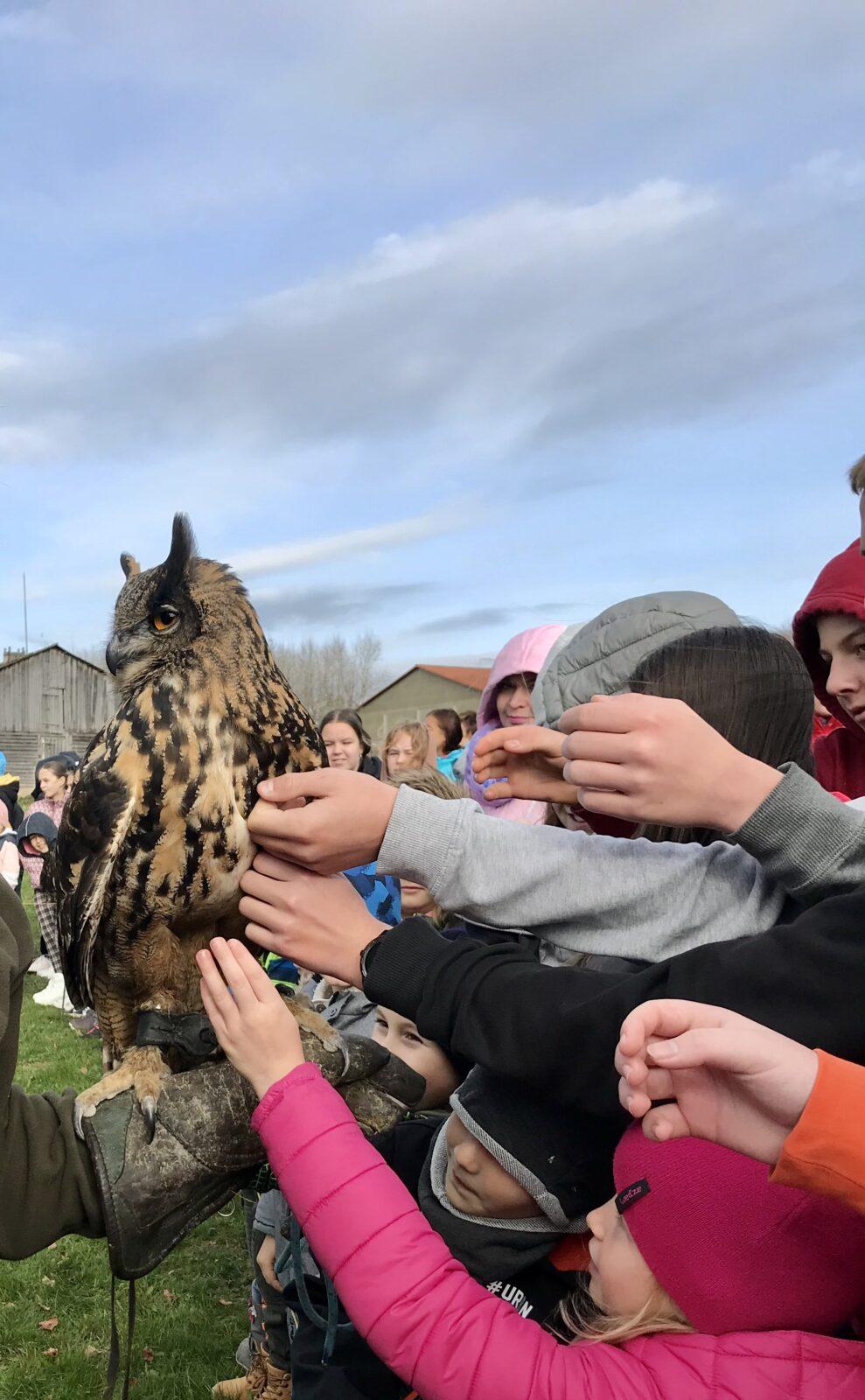 SOVIČKY: VÝUKOVÝ PROGRAM ,,DRAVCI" - 6