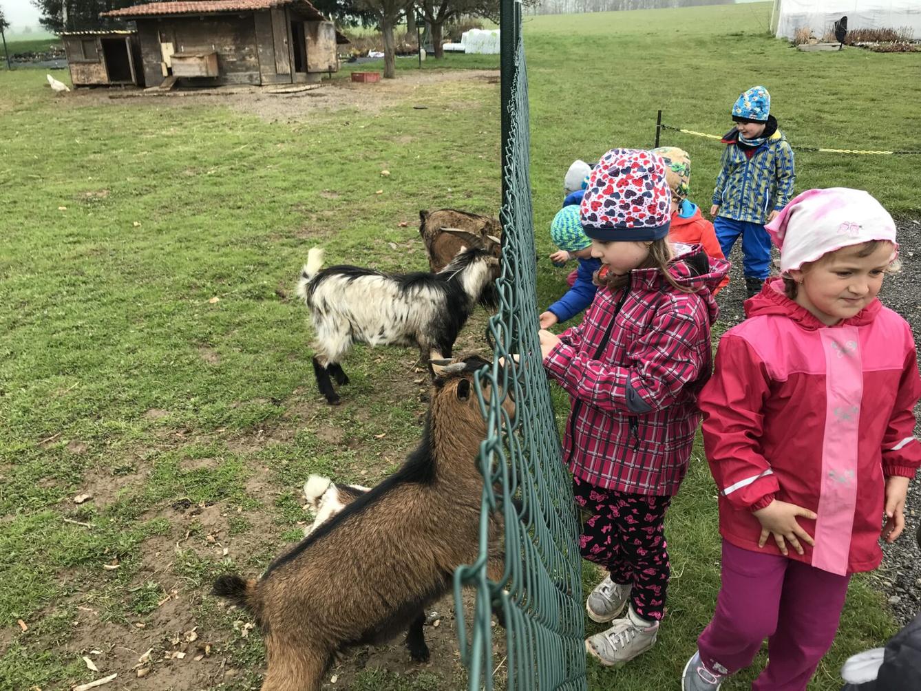 PŘEDŠKOLÁCI ,,VÝPRAVY ZA ZVÍŘÁTKY" - 6