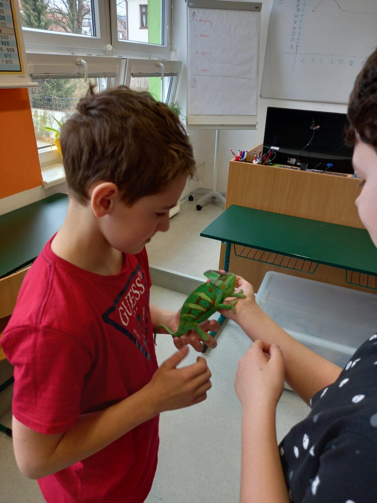 Přednáška o chovu terarijních zvířat - 6