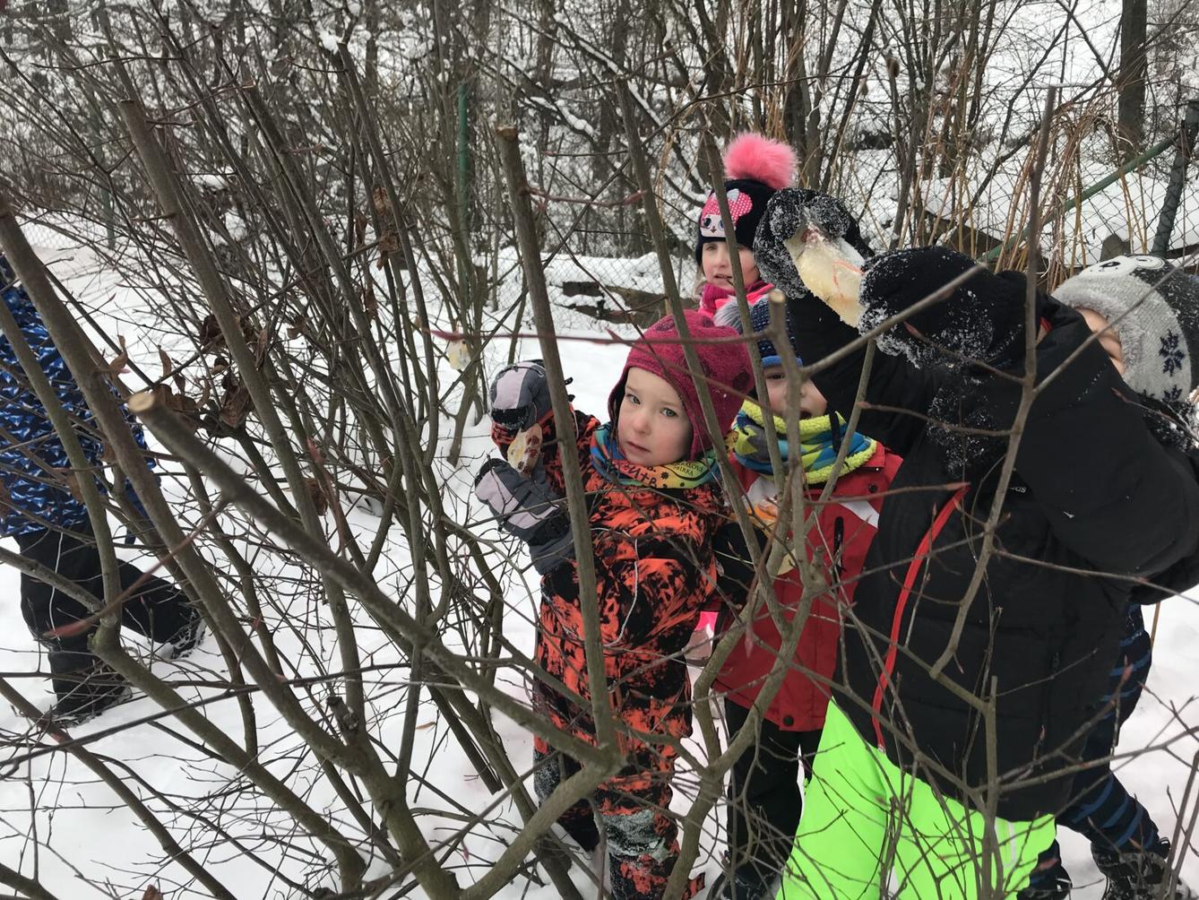 SOVIČKY: ,,VOŇAVÉ OZDOBY Z LEDU" - 7