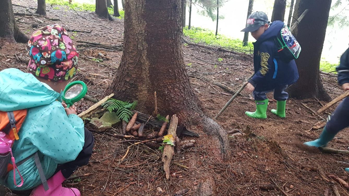 SOVIČKY: ,,VÝPRAVA DO LESA" - 7