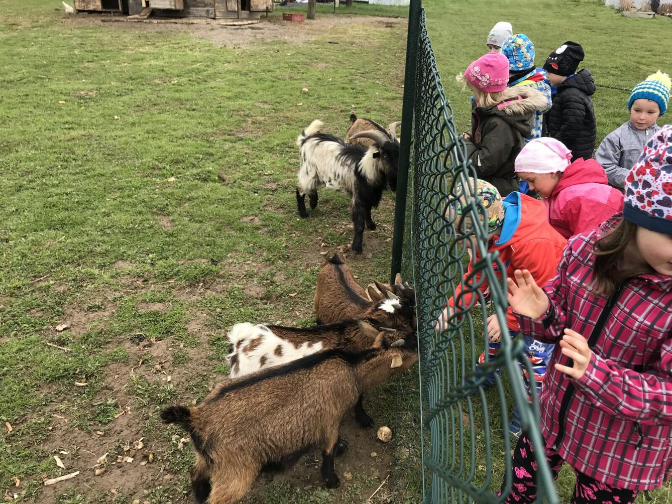 PŘEDŠKOLÁCI ,,VÝPRAVY ZA ZVÍŘÁTKY" - 7