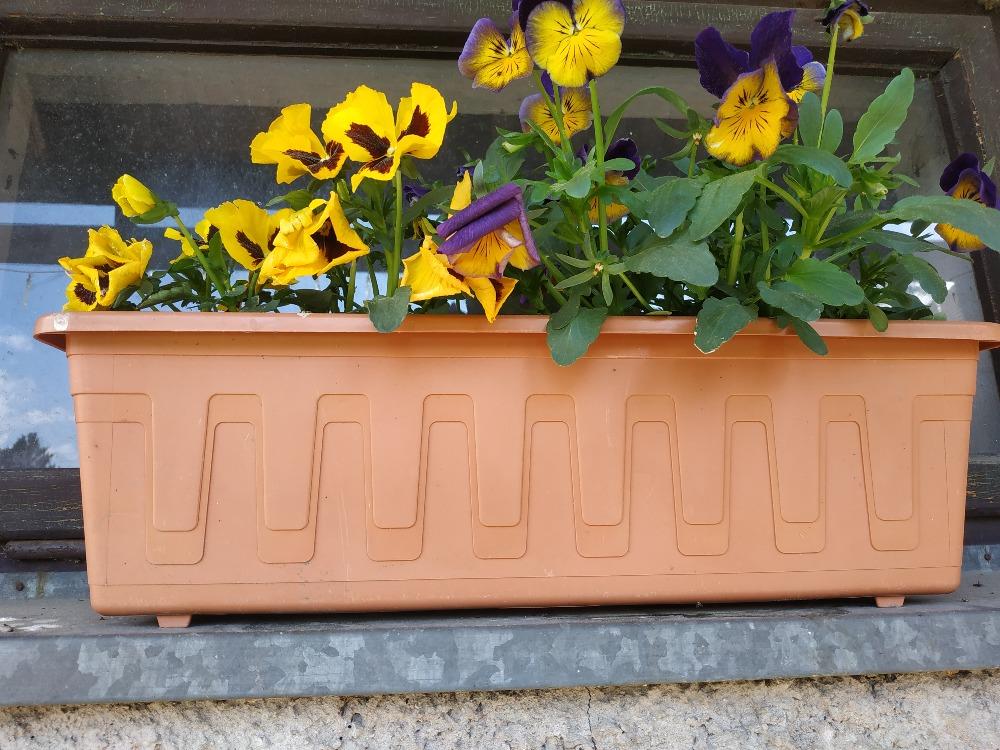 Photo challenge - lichoběžníky - 1