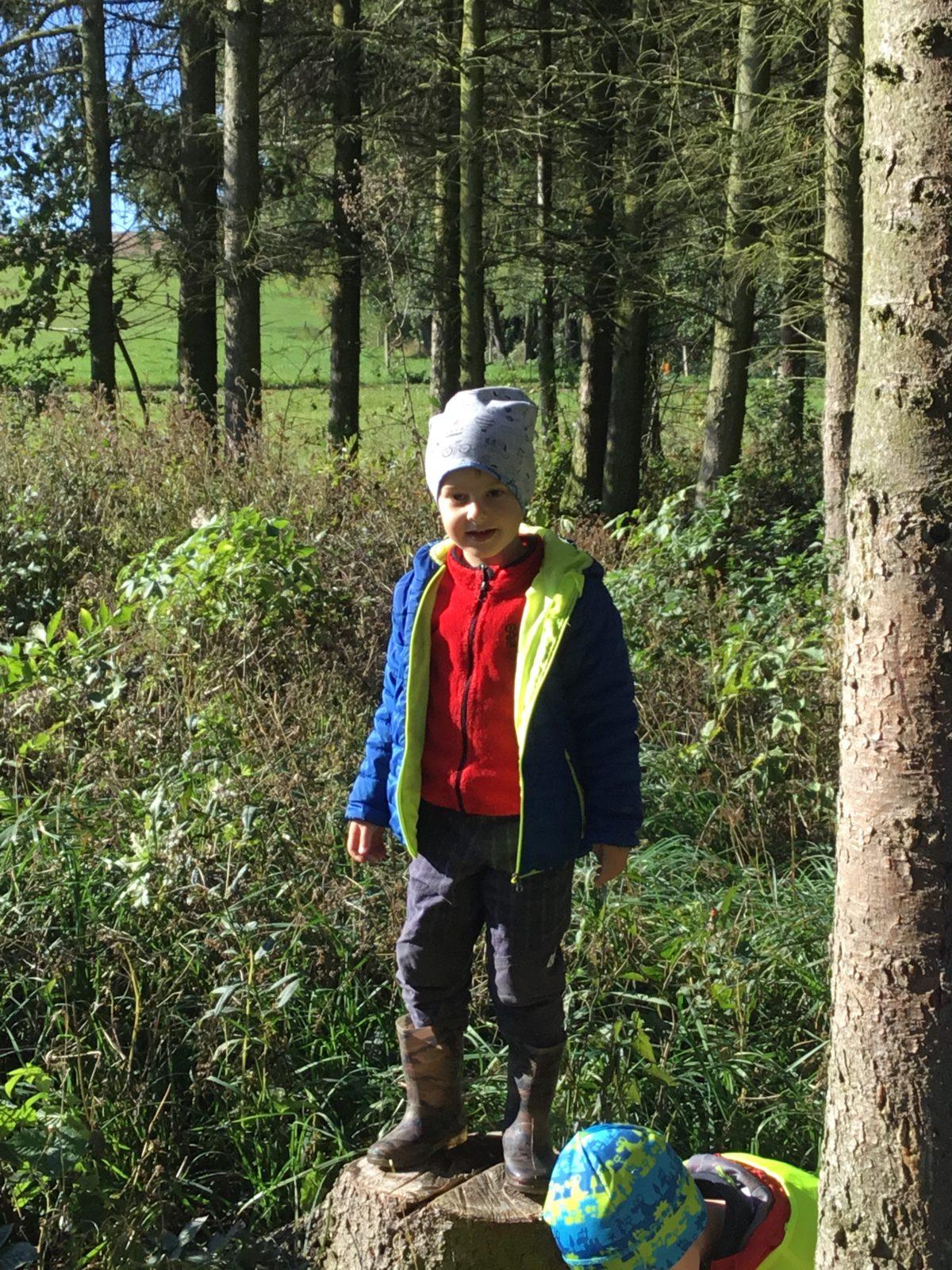 "Kam chodí broučci spát" - 8