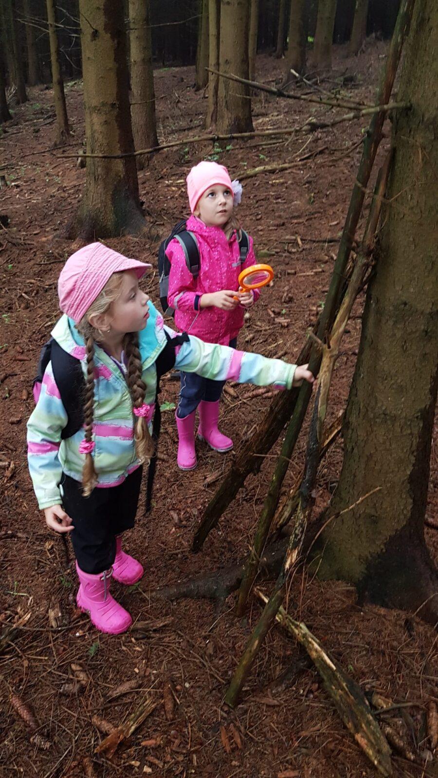 SOVIČKY: ,,VÝPRAVA DO LESA" - 8