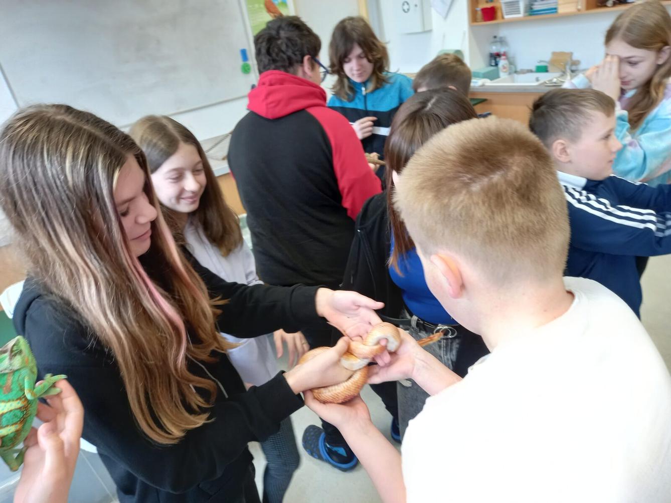 Přednáška o chovu terarijních zvířat - 8