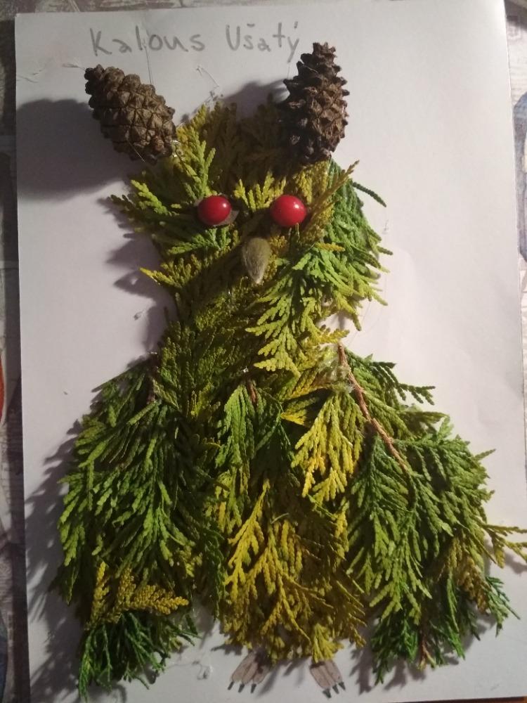 Spojení přírodopisu s pracovními činnostmi u sedmáků - 3