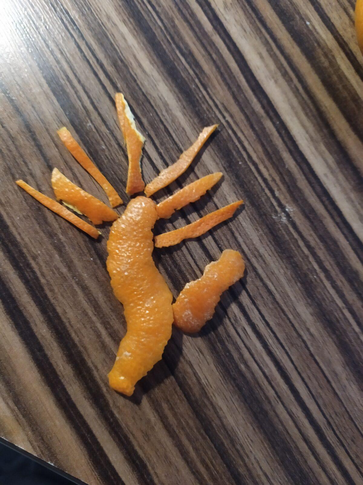 Přírodopis v 6. třídě - 1