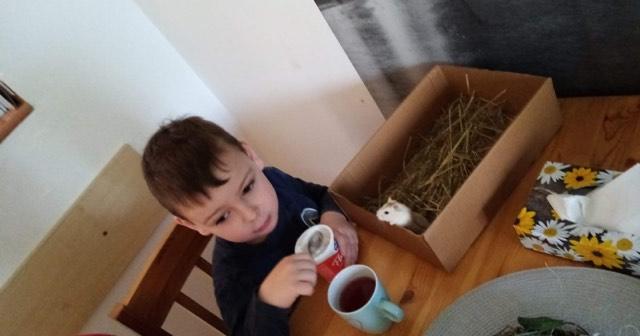 Jarní tvoření 3. týden - 1