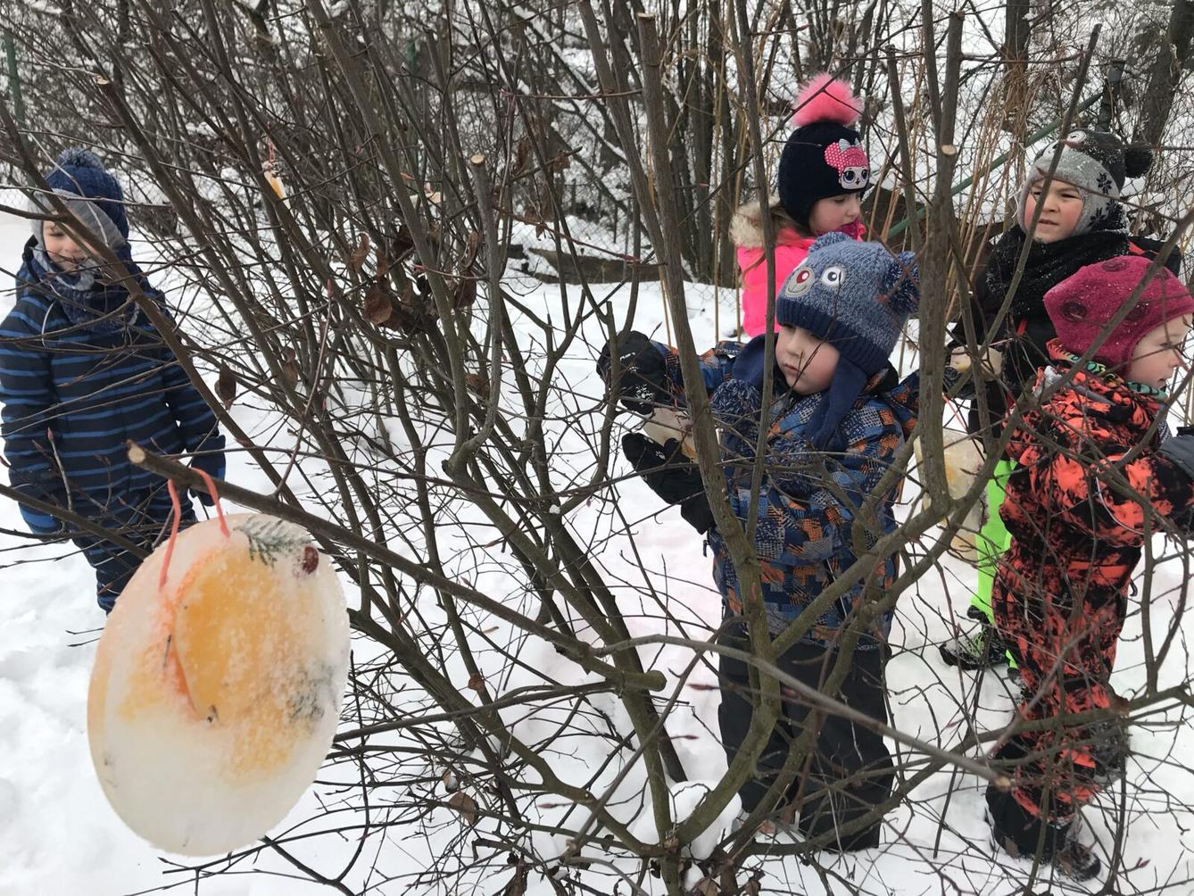 SOVIČKY: ,,VOŇAVÉ OZDOBY Z LEDU" - 9