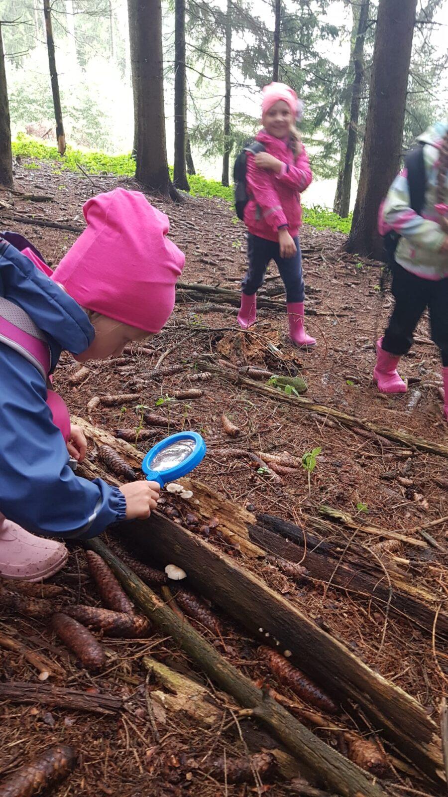 SOVIČKY: ,,VÝPRAVA DO LESA" - 9