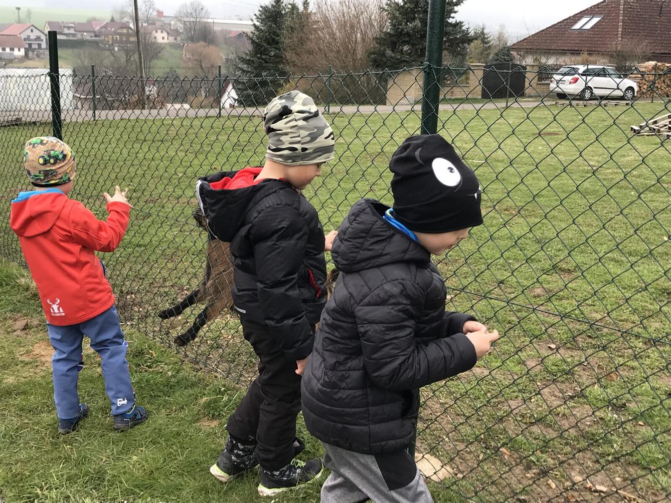 PŘEDŠKOLÁCI ,,VÝPRAVY ZA ZVÍŘÁTKY" - 9