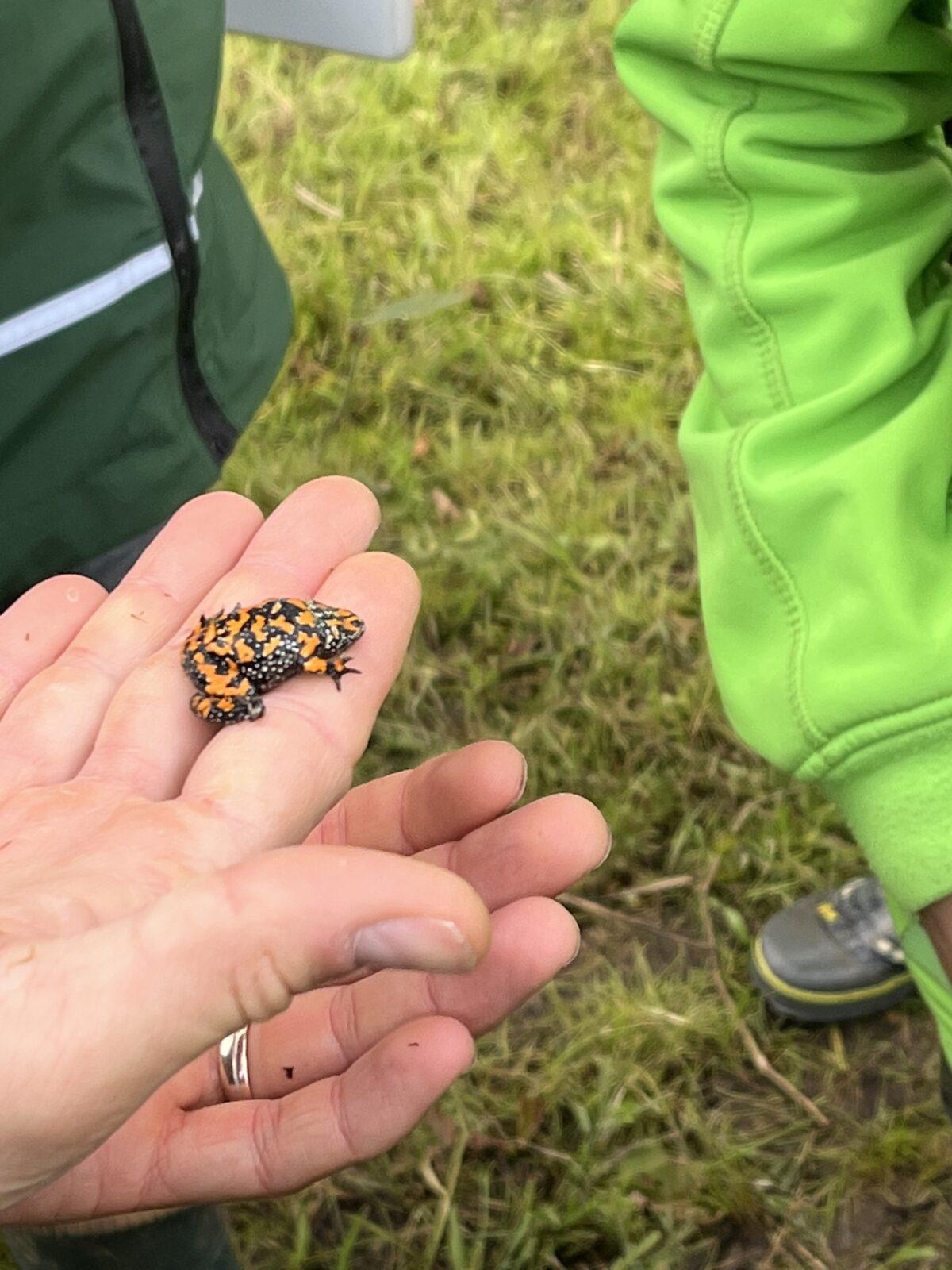 Adaptační pobyt šesťáků- den druhý - 1