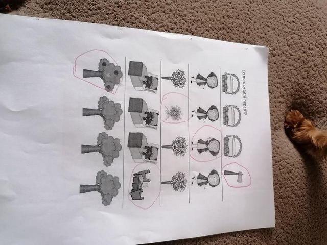 Domácí tvoření našich dětí - 1