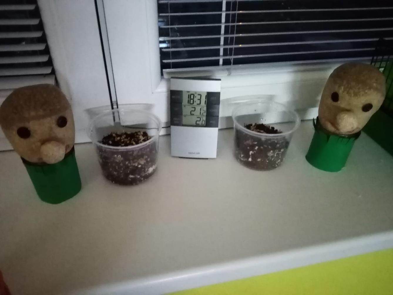 Další nabídka činností pro ostatní děti - 1