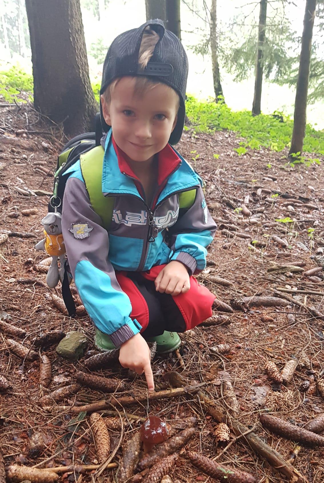 SOVIČKY: ,,VÝPRAVA DO LESA" - 10