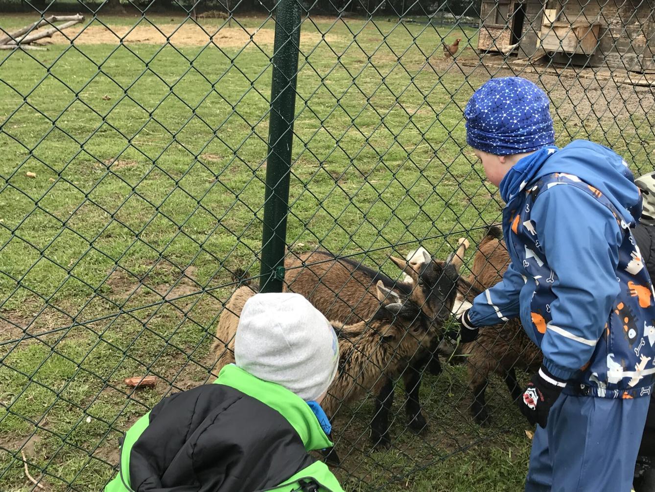 projektový den v MŠ - "Podmořský svět" I. - 10