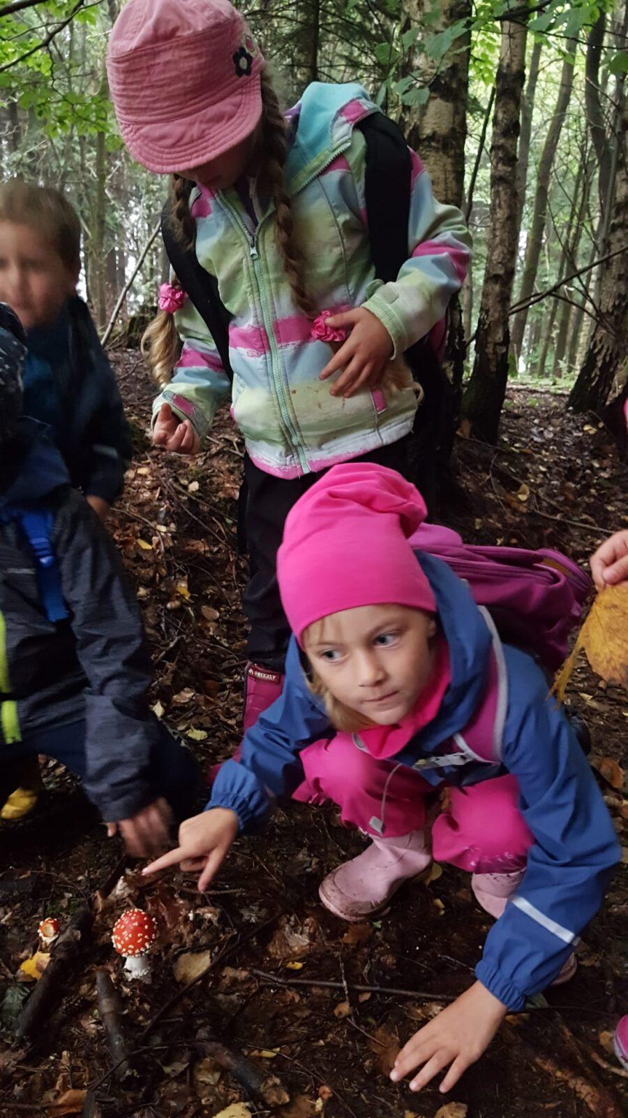 SOVIČKY: ,,VÝPRAVA DO LESA" - 11