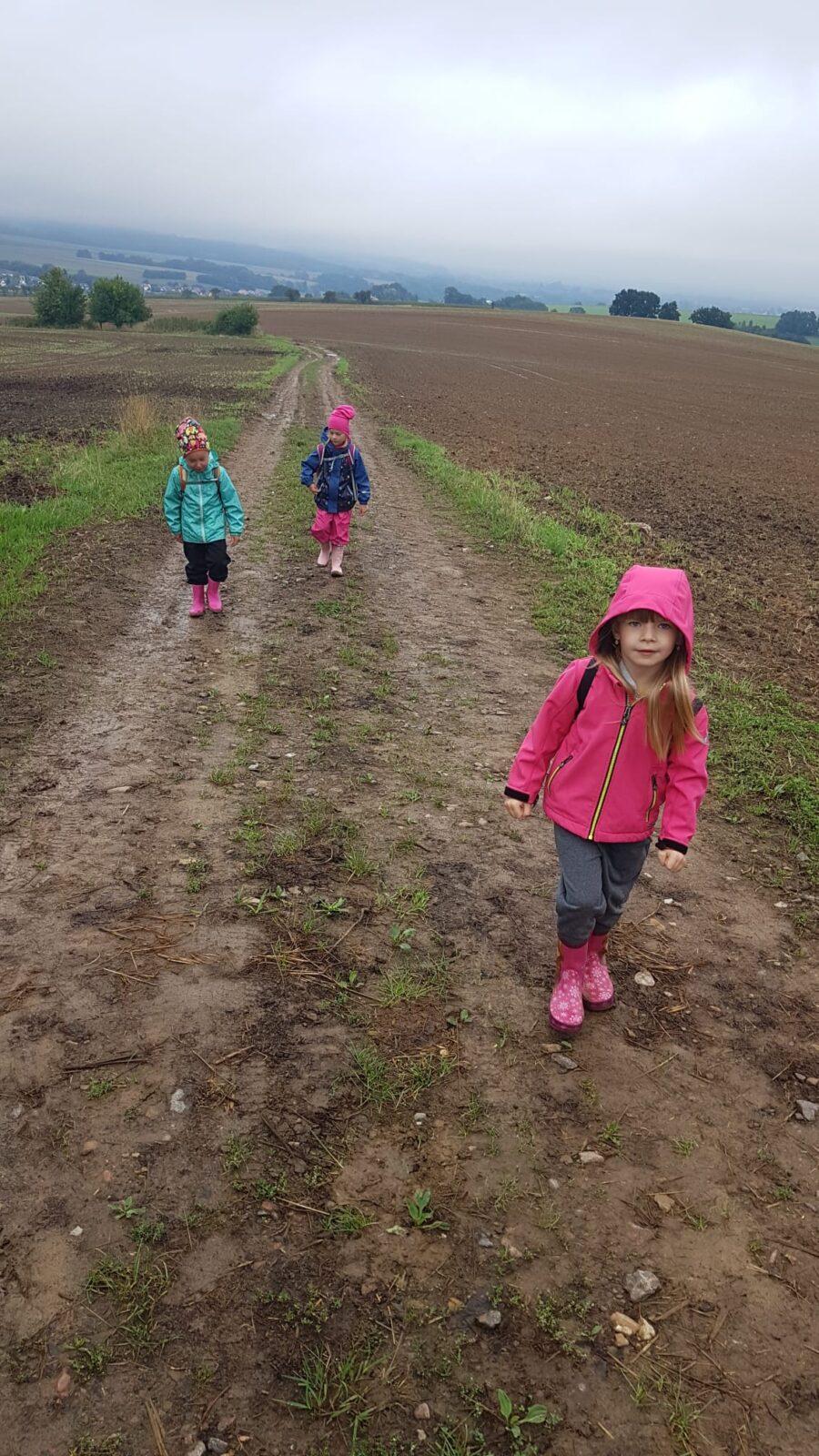 SOVIČKY: ,,VÝPRAVA DO LESA" - 12