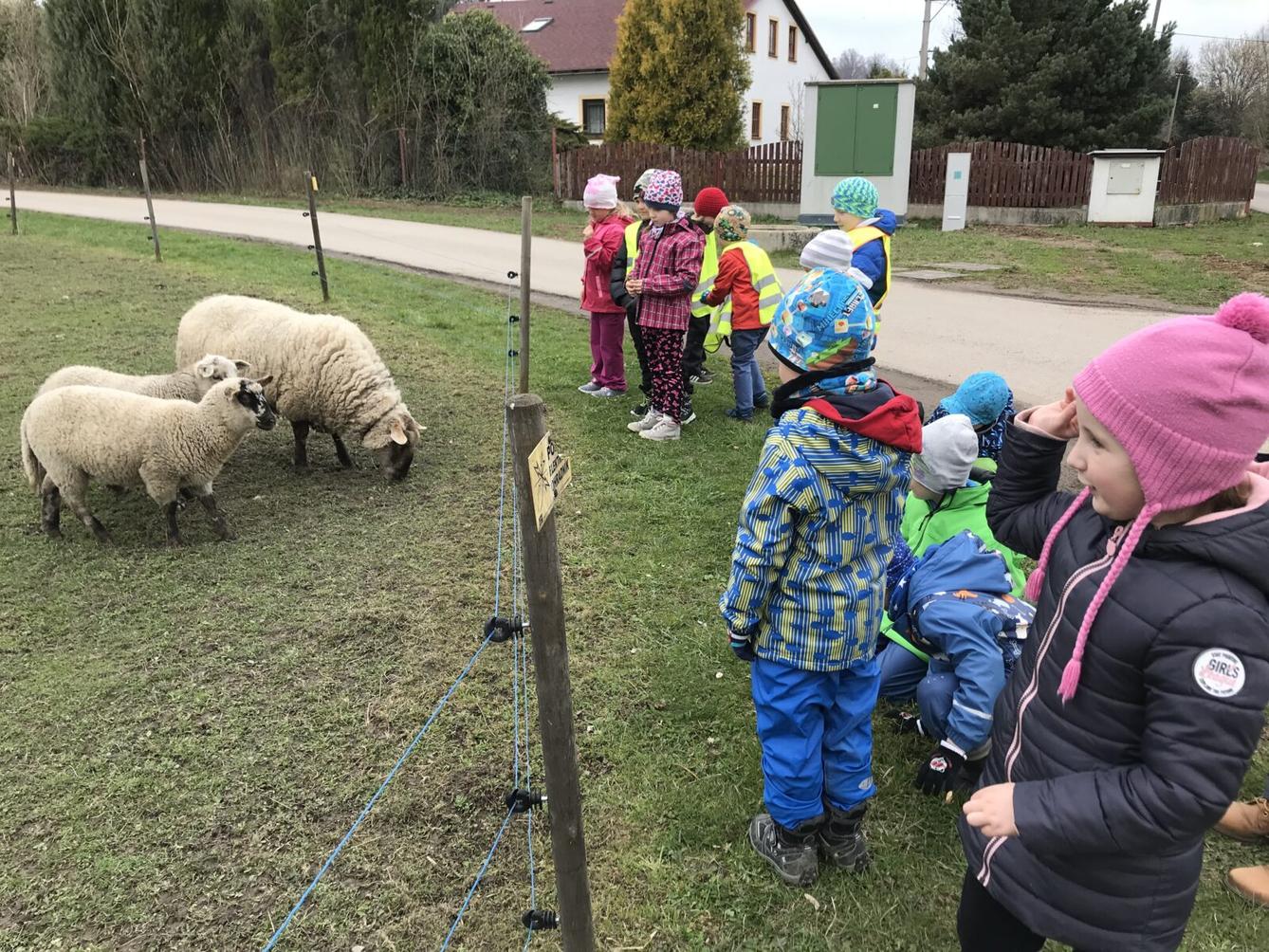 PŘEDŠKOLÁCI ,,VÝPRAVY ZA ZVÍŘÁTKY" - 11