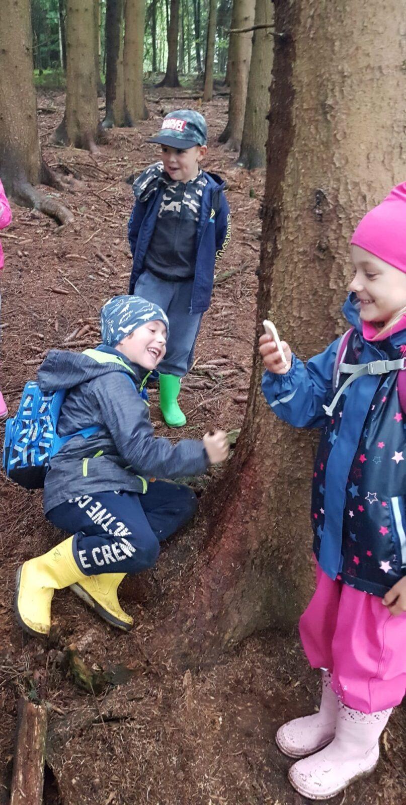 SOVIČKY: ,,VÝPRAVA DO LESA" - 13