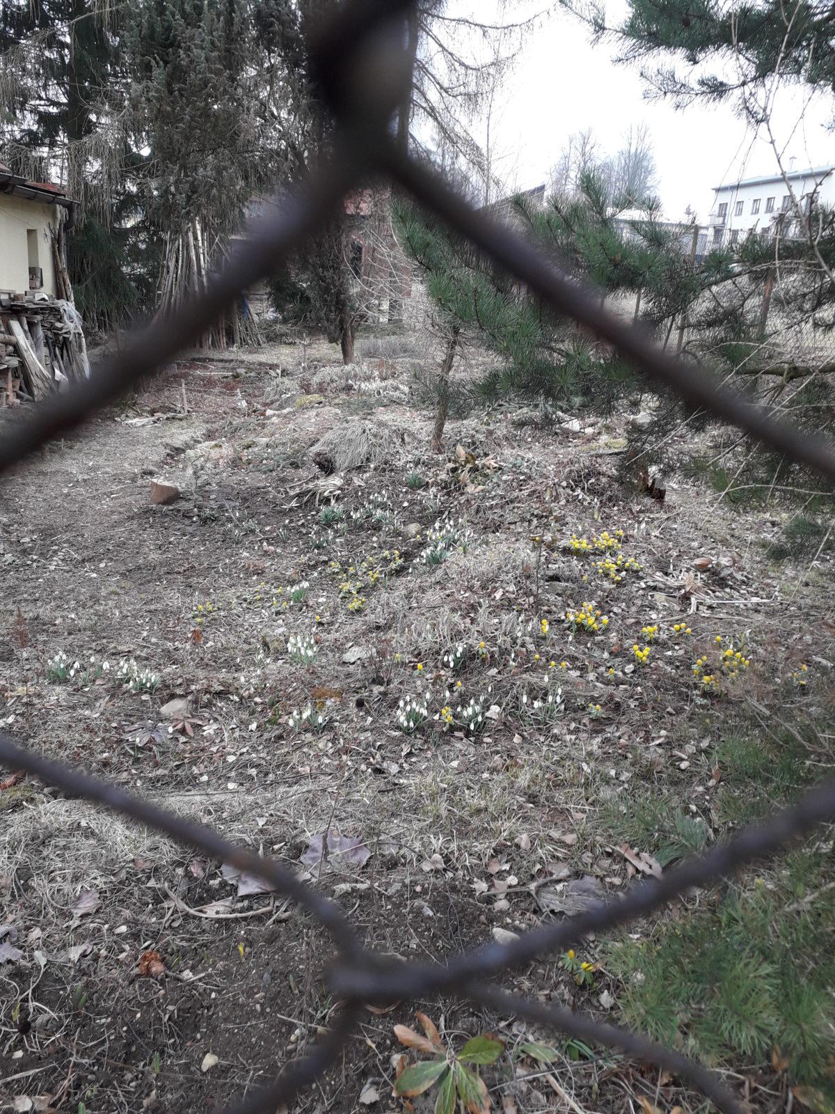 Měsíc březen I. oddělení - 5