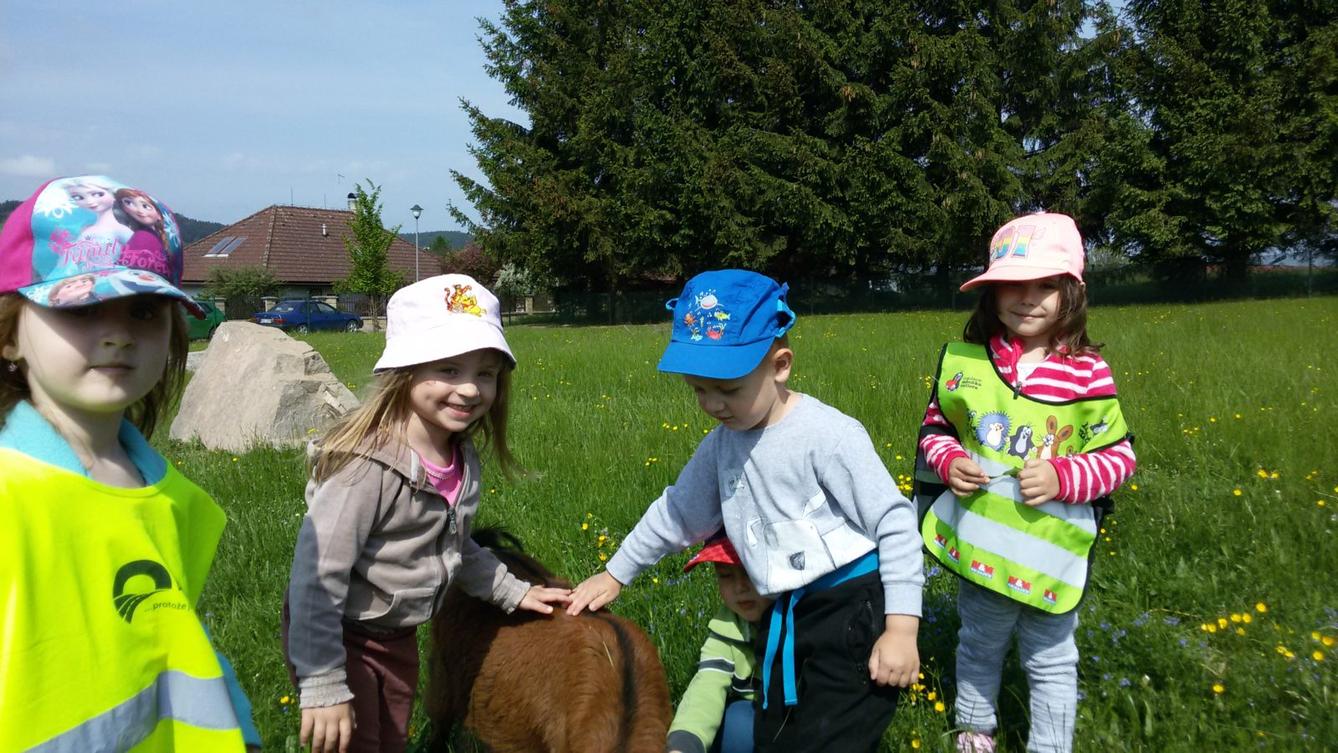 Vycházka ke kozičkám s kůzlátky (Broučci) - 22