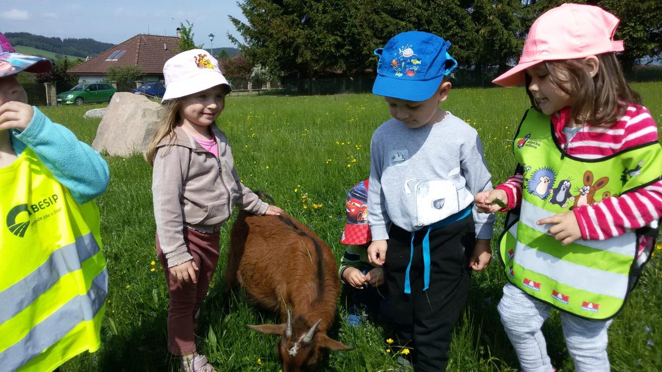 Vycházka ke kozičkám s kůzlátky (Broučci) - 23
