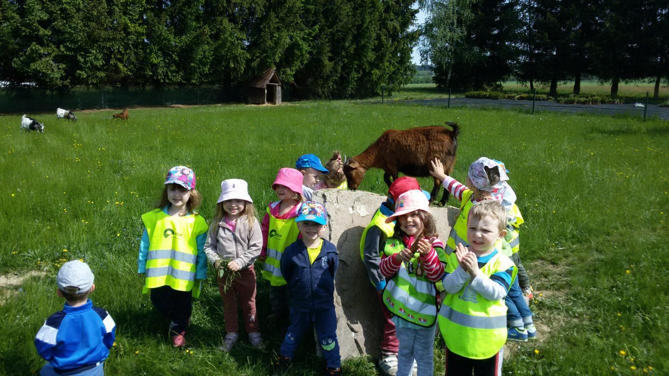 Vycházka ke kozičkám s kůzlátky (Broučci) - 39