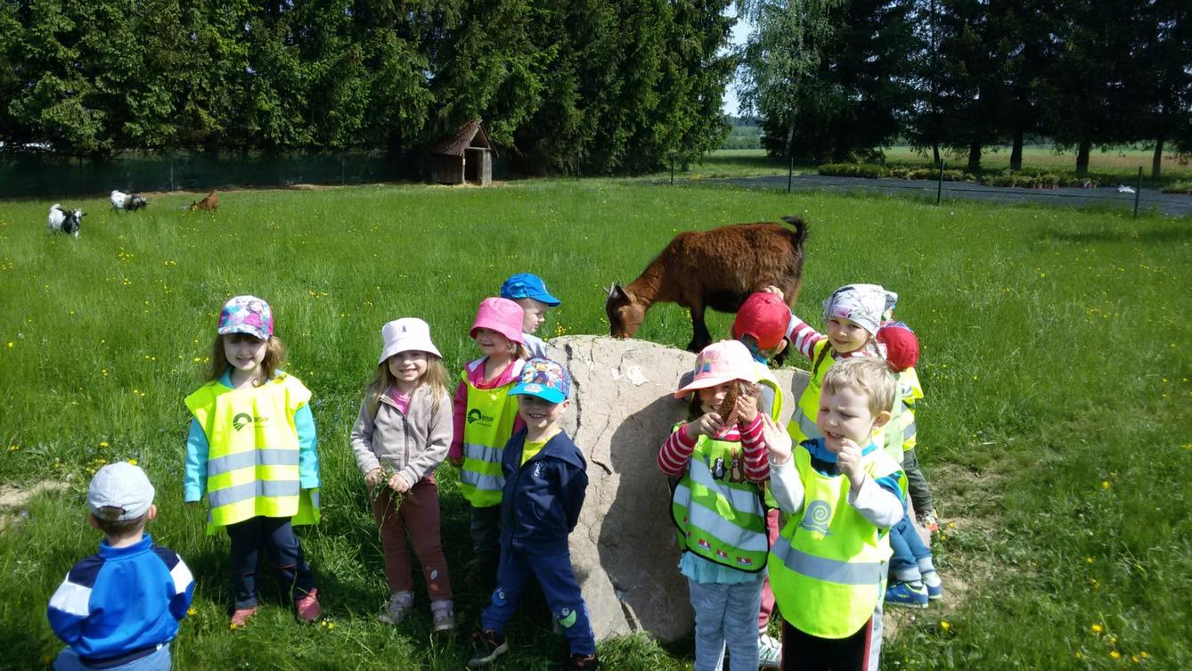 Vycházka ke kozičkám s kůzlátky (Broučci) - 40