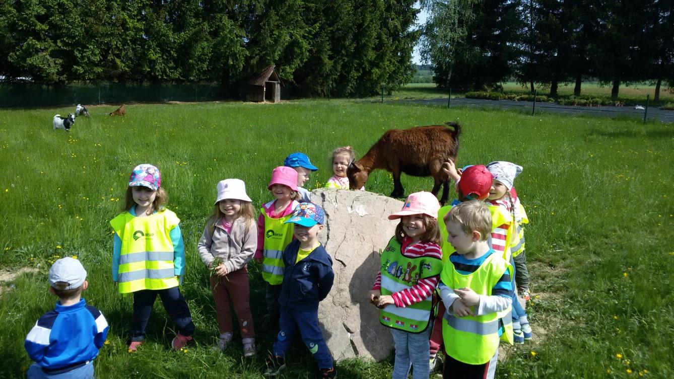 Vycházka ke kozičkám s kůzlátky (Broučci) - 41