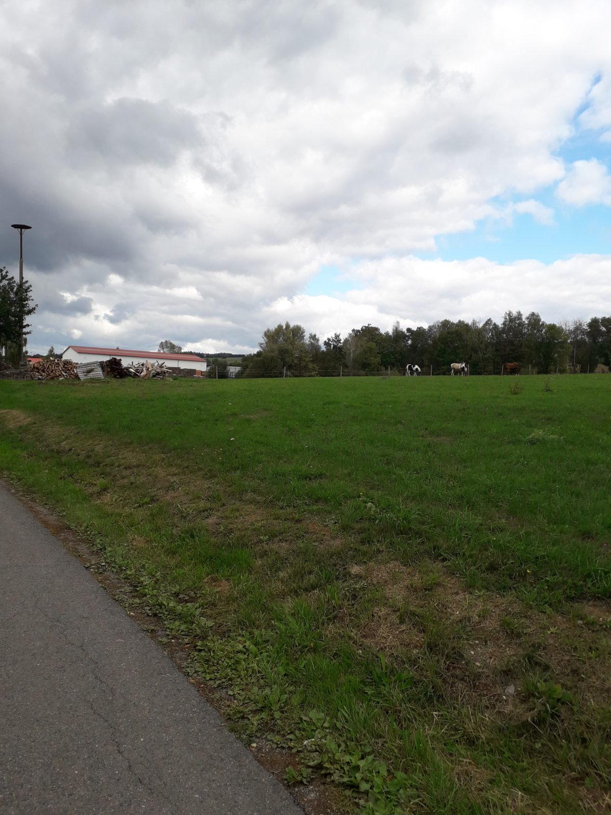 Prosinec I. oddělení - 1