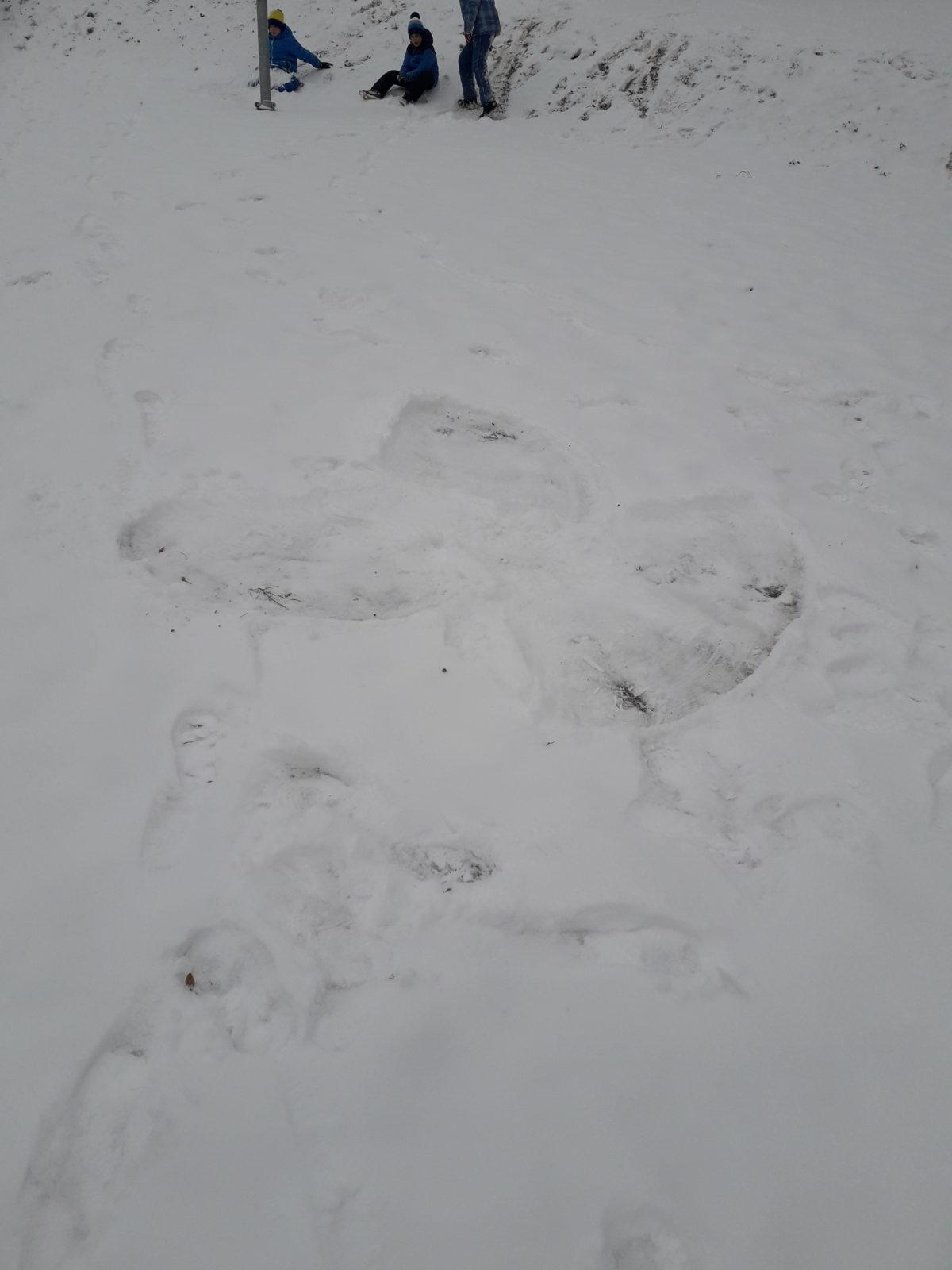 Leden I. oddělení - 5