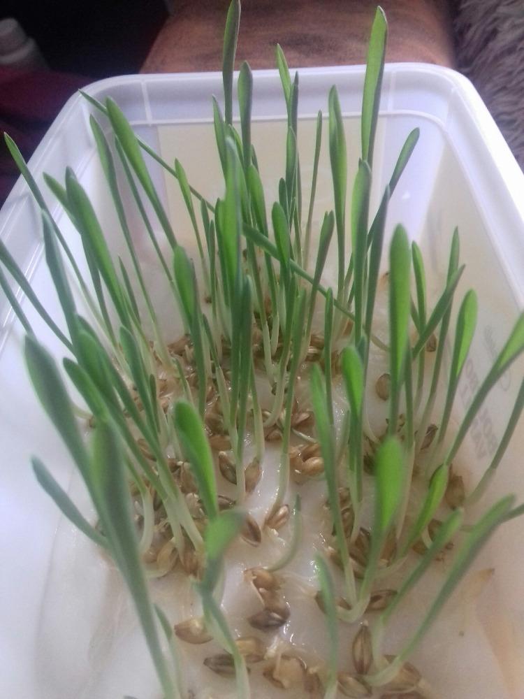 Velikonoce u třeťáčků 14. 4. - 4