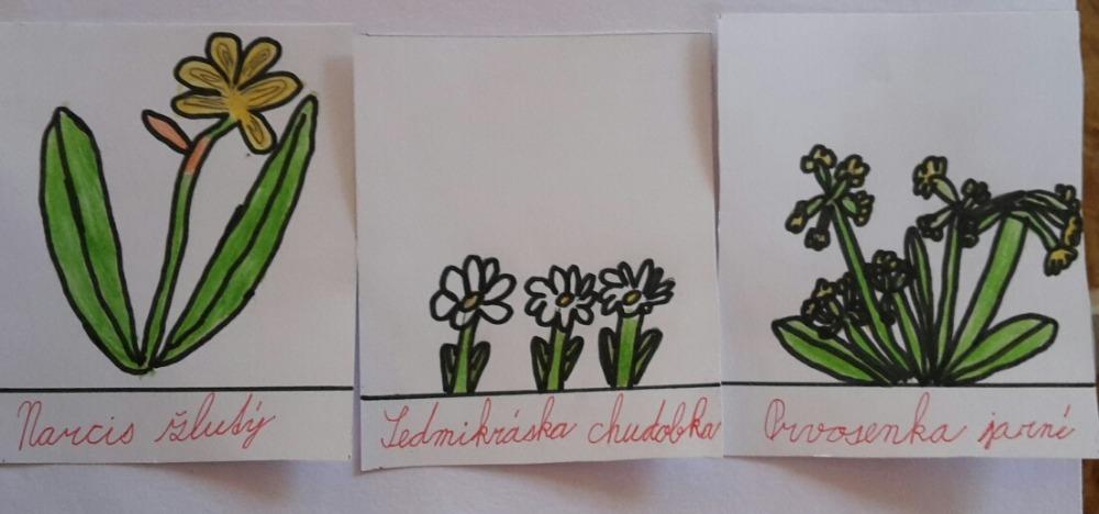 Den Země od třeťáčků 22. 4. - 1