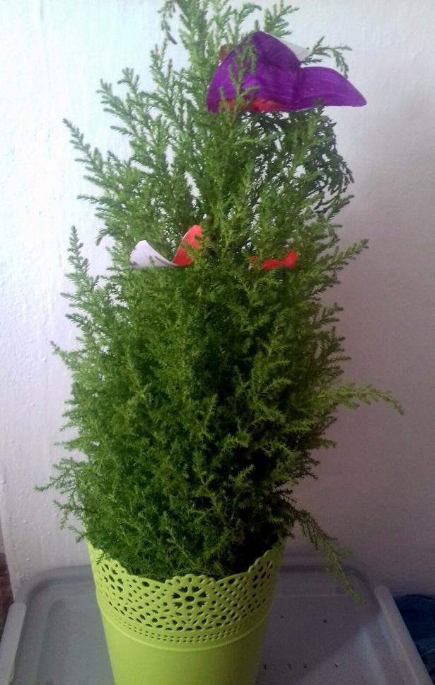 Geohrátky ve 3. třídě 10. 5. - 4