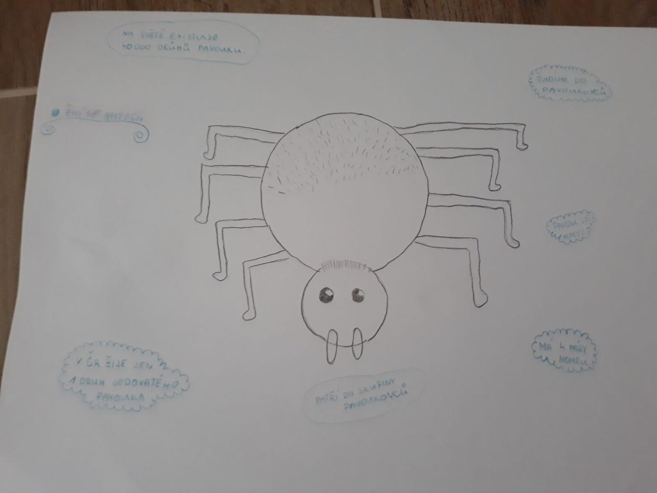 Pozorování pavoukovců - žáci 6. tříd - 4