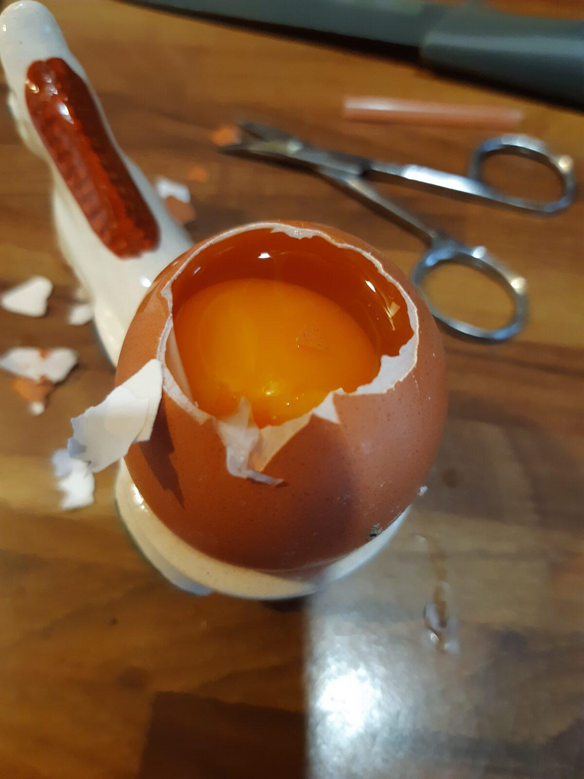 Laboratorní práce u sedmáků - 3