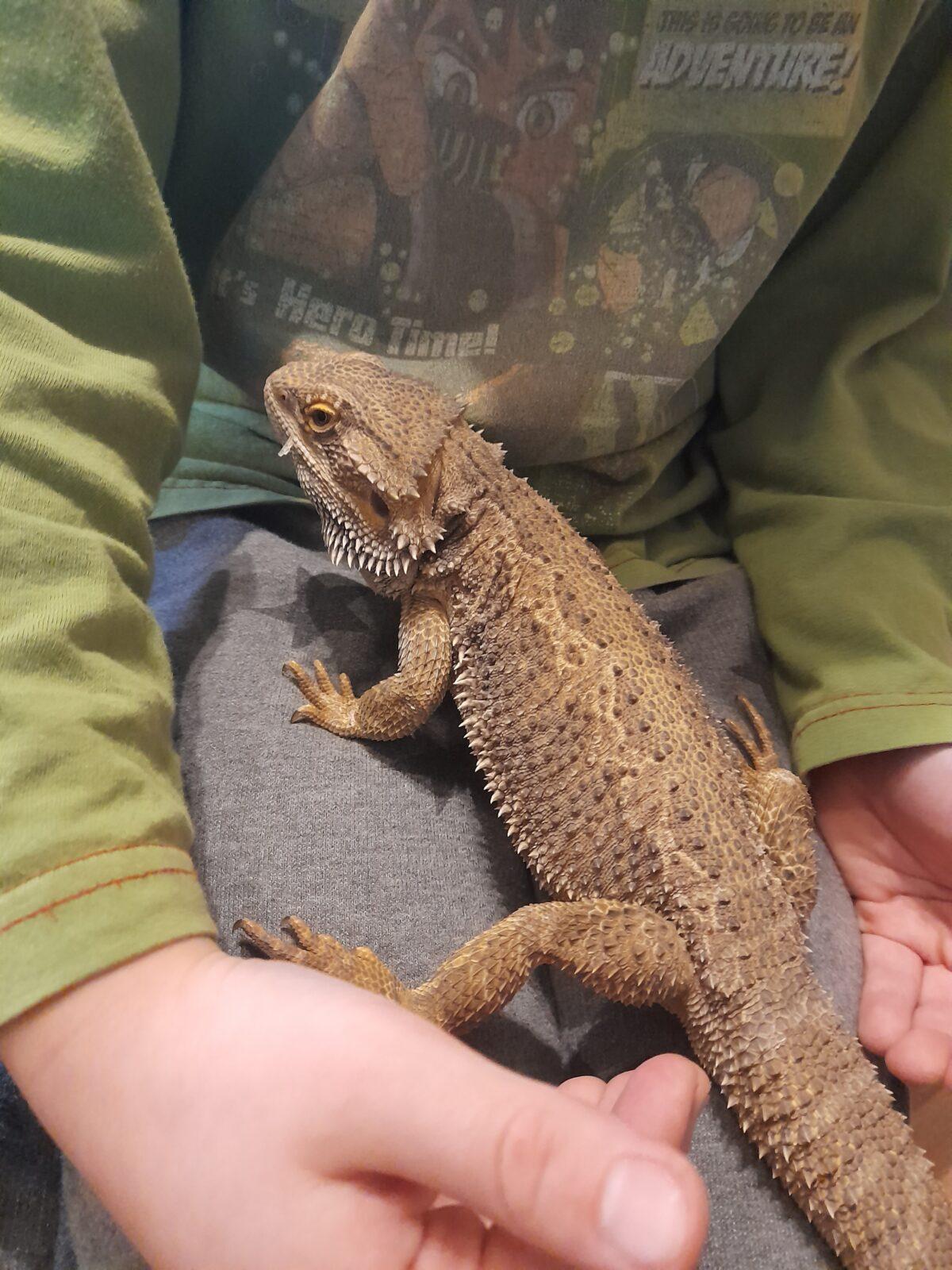 Distanční výuka u předškoláčků - 9