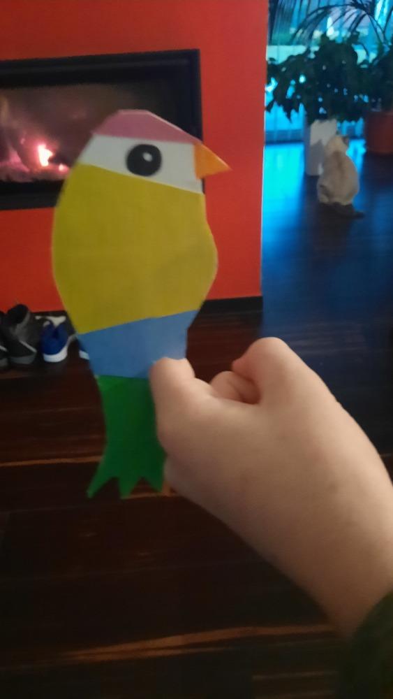 Papoušek na prstu - sedmáci - 3