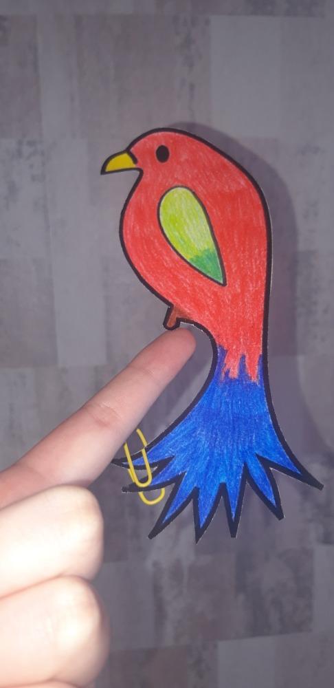 Papoušek na prstu - sedmáci - 4