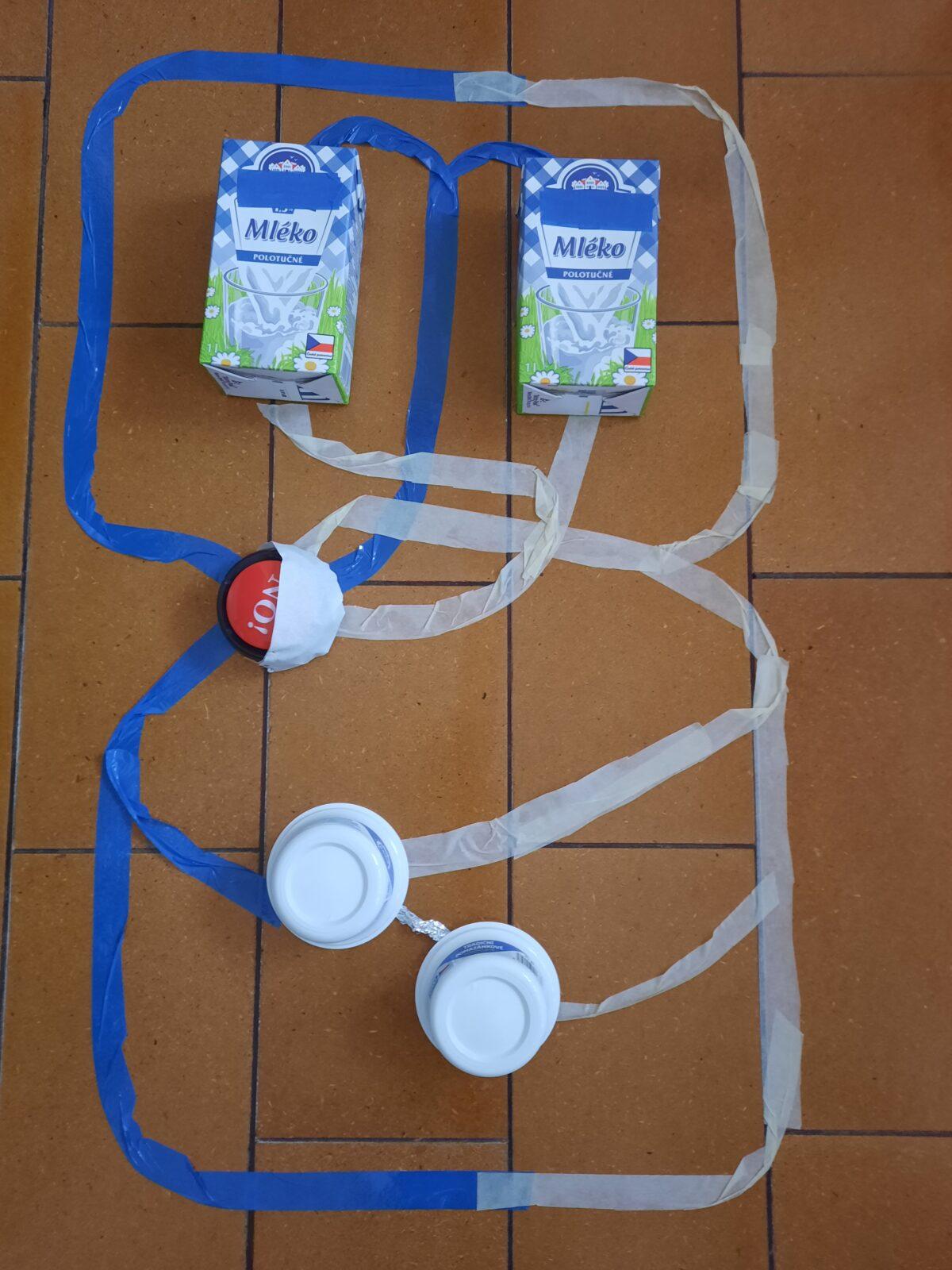 Biologie člověka - 8. třída - 3