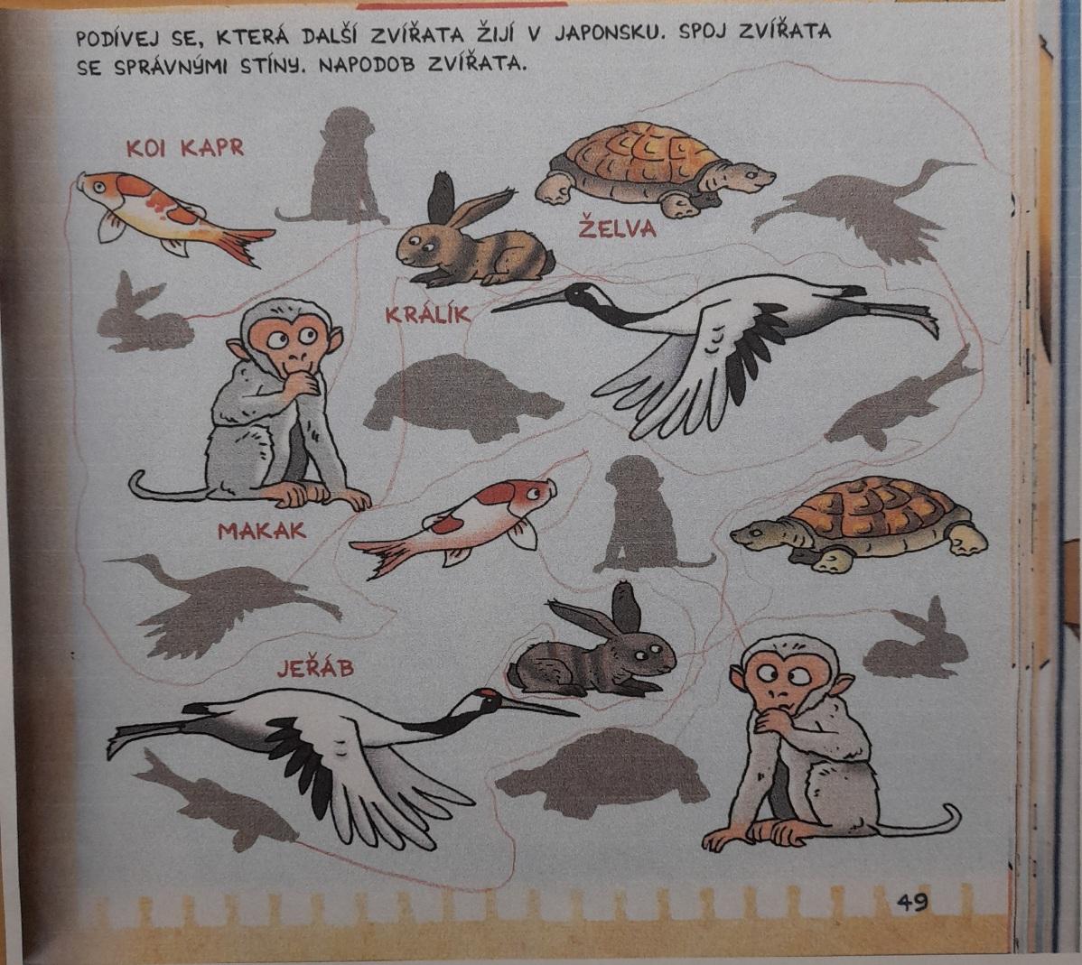 Distanční výuka u předškoláčků - 13