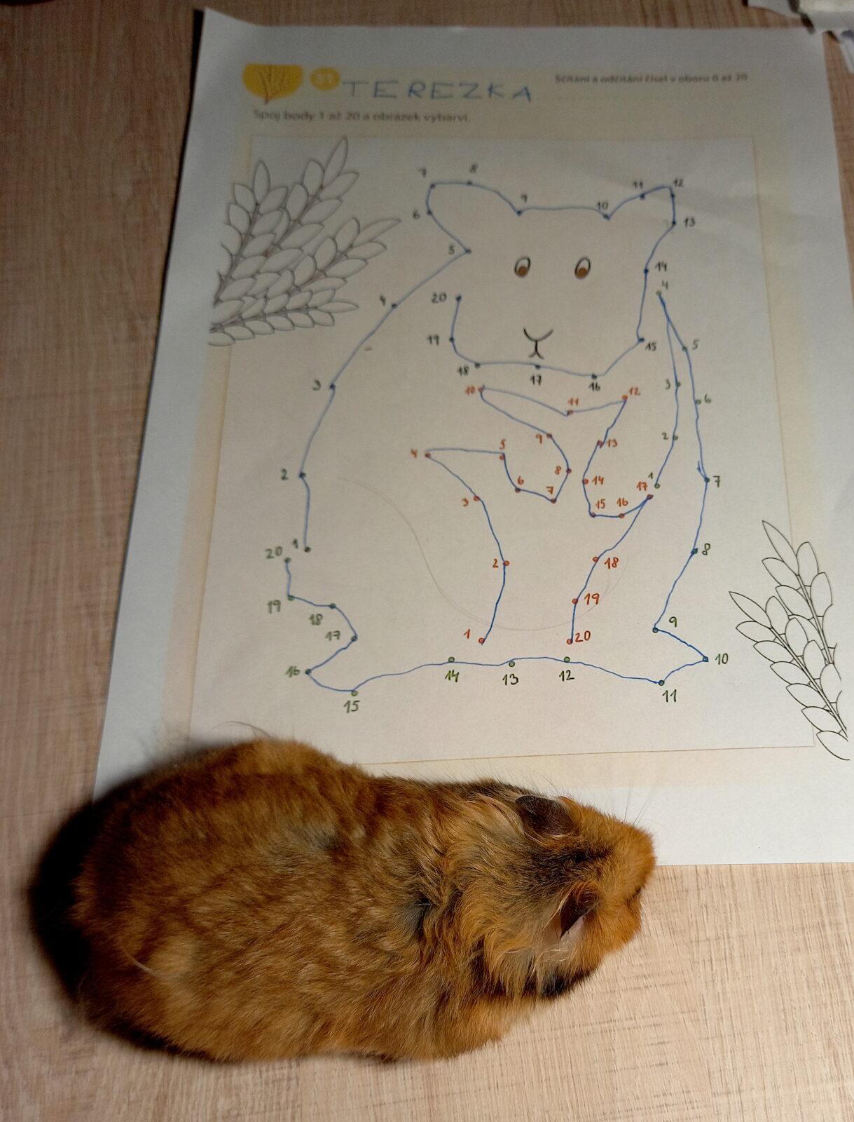 28. 3. Distanční výuka u prvňáčků - 8