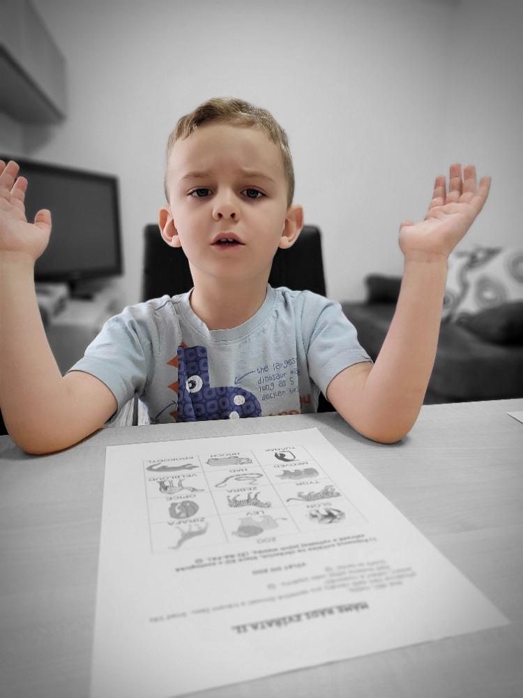 Distanční výuka - "Máme rádi zvířata II." (mladší děti) - 6