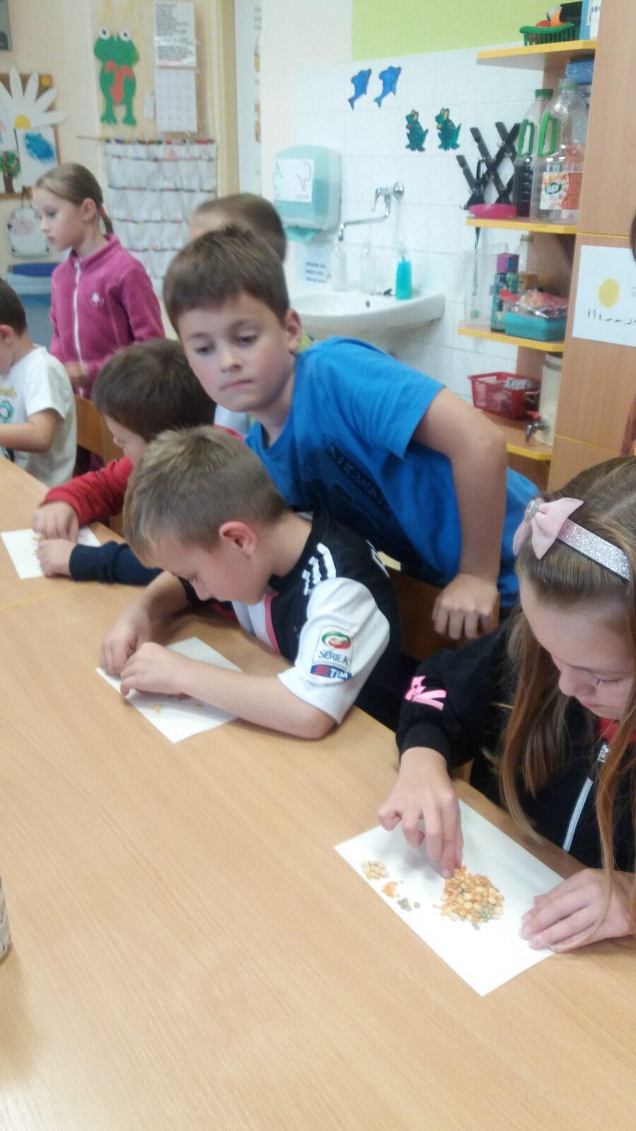 Podzimní dny , 2. oddělení - 12