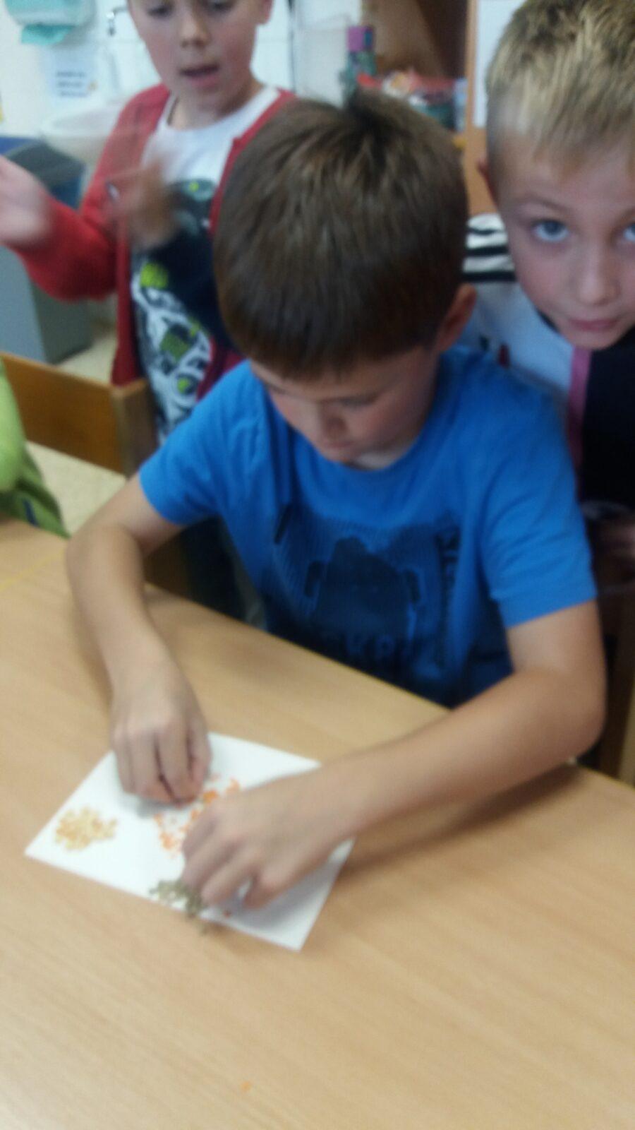 Podzimní dny , 2. oddělení - 24