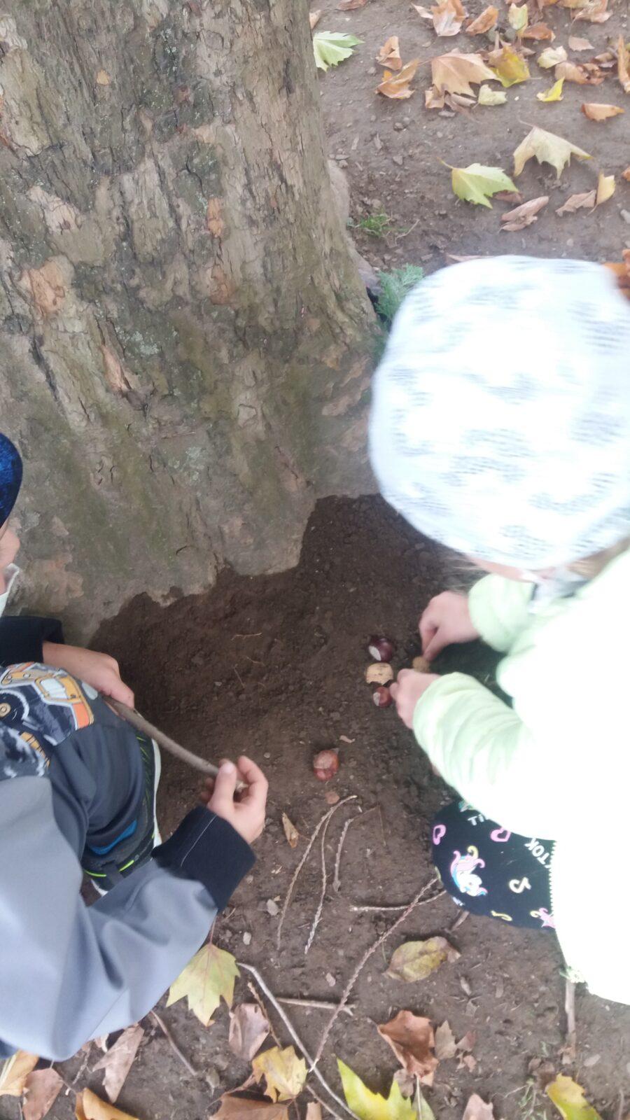 Podzimní dny , 2. oddělení - 31